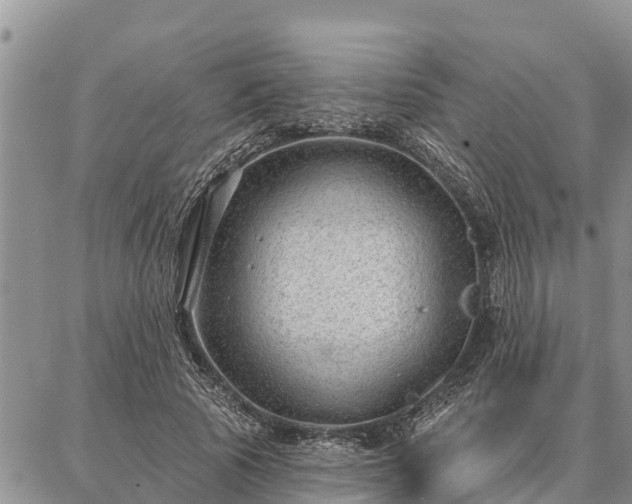 X0000086930737200704231330