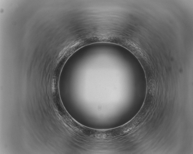 X0000086930740200704231330