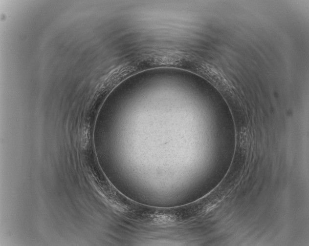 X0000086930741200704231330