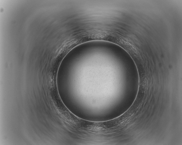 X0000086930743200704231330