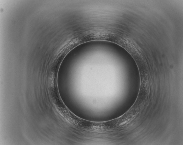 X0000086930744200704231330