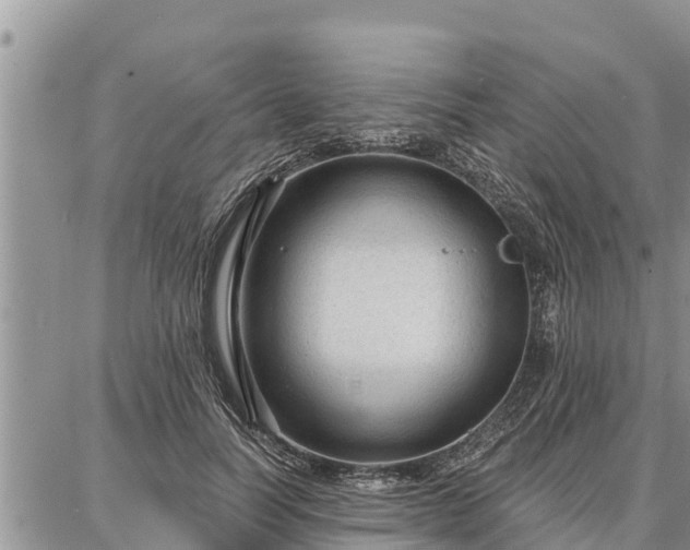 X0000086930746200704231330