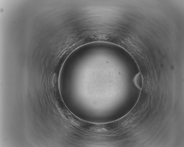 X0000086930747200704231330