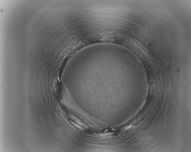 X0000086930748200704231330