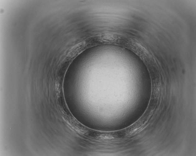 X0000086930749200704231330