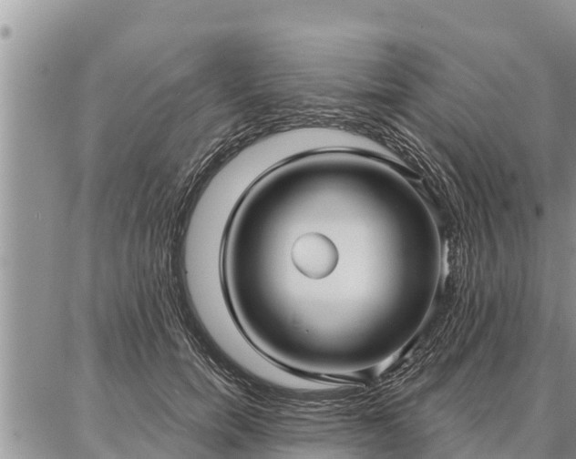 X0000086930750200704231330