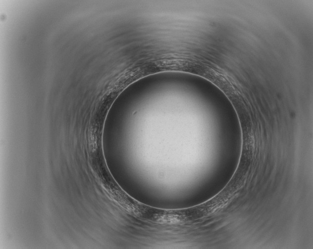 X0000086930751200704231330