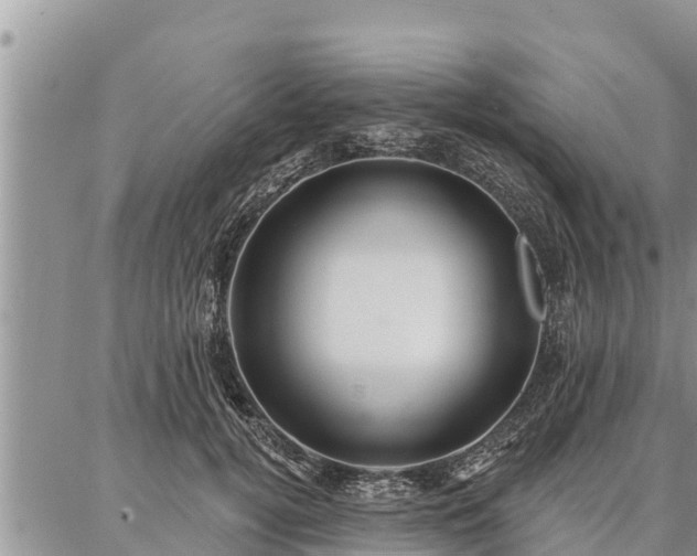 X0000086930752200704231330