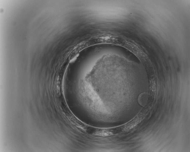 X0000086930754200704231330