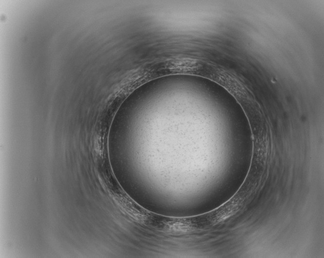 X0000086930755200704231330