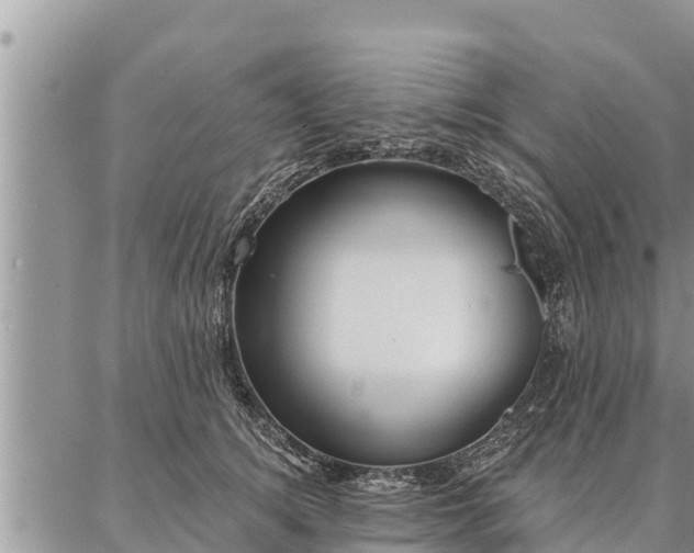 X0000086930756200704231330