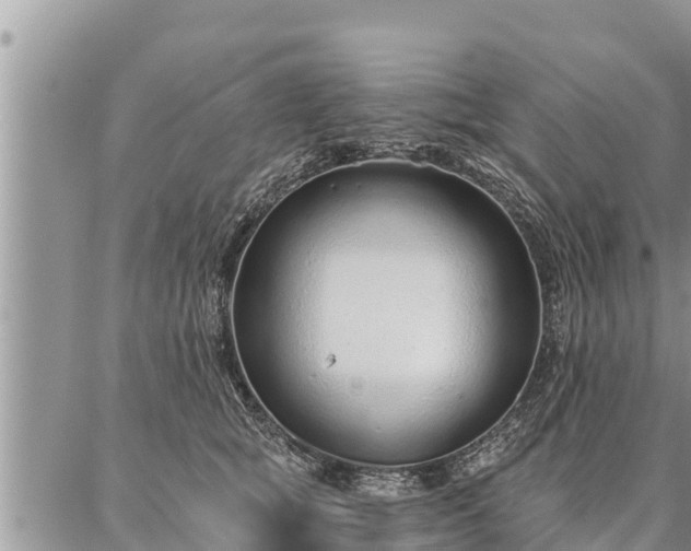 X0000086930757200704231330