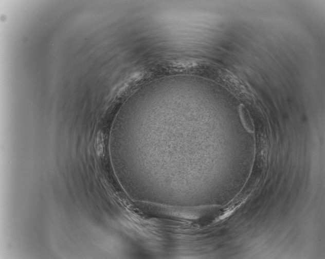 X0000086930758200704231330