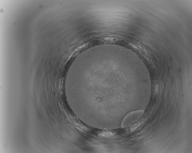 X0000086930759200704231330