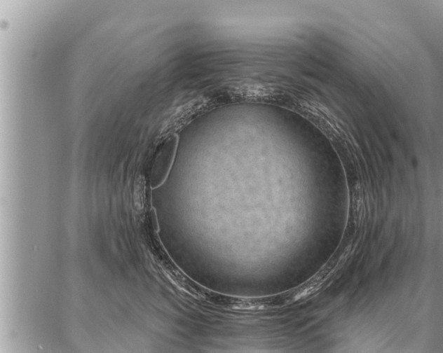 X0000086930760200704231330