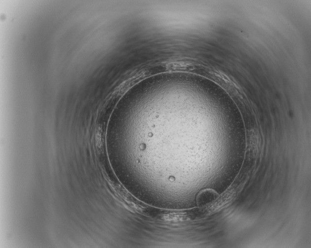 X0000086930761200704231330