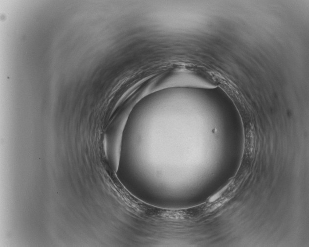 X0000086930762200704231330