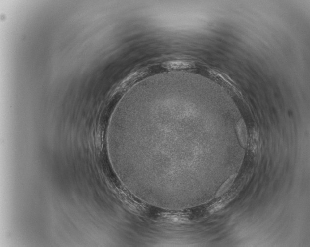 X0000086930763200704231330