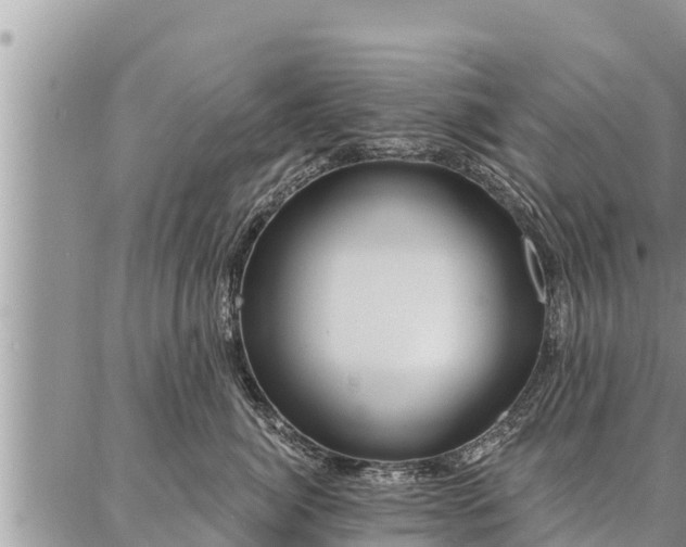 X0000086930764200704231330