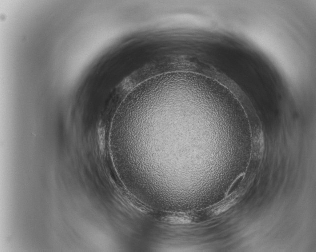 X0000086930765200704231330