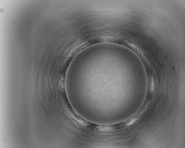 X0000086930766200704231330