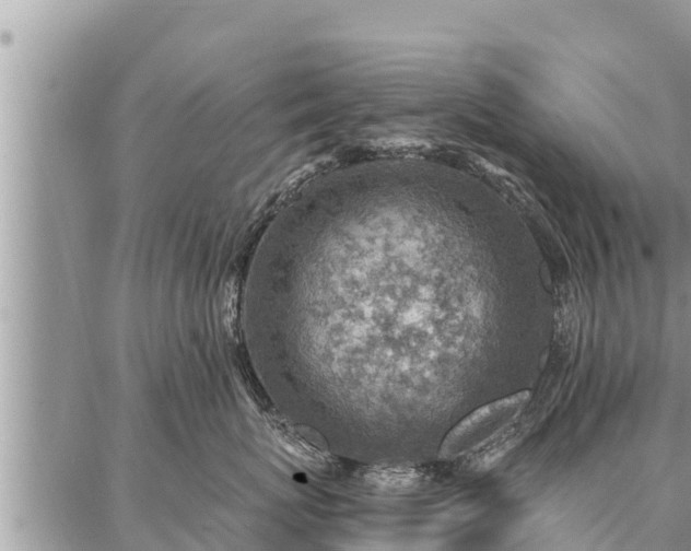 X0000086930767200704231330