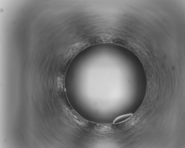 X0000086930768200704231330