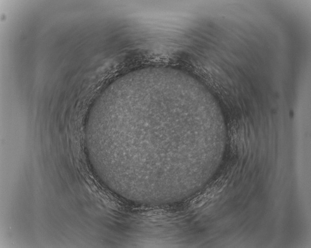 X0000086930769200704231329