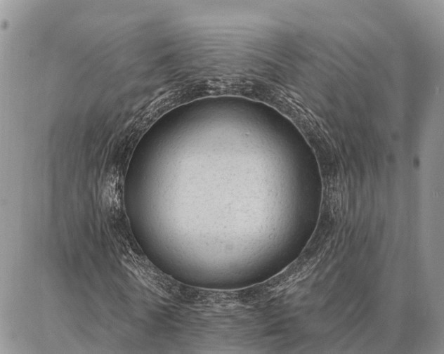 X0000086930770200704231329