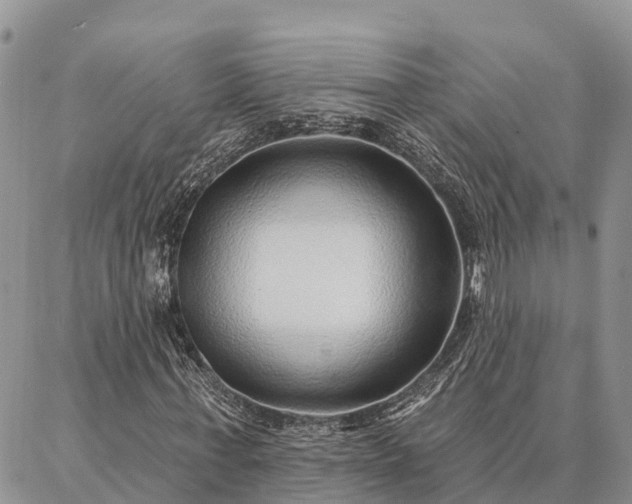 X0000086930771200704231329