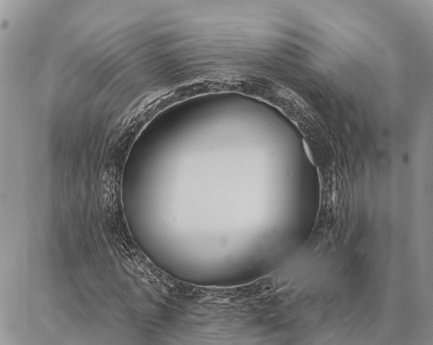 X0000086930773200704231329