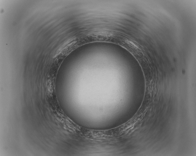 X0000086930774200704231329