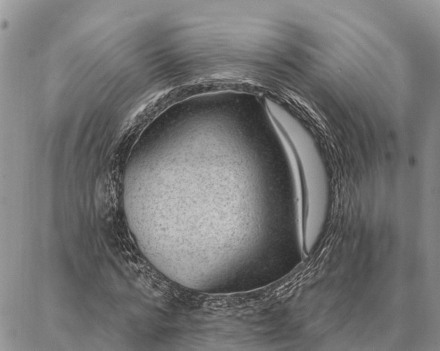 X0000086930776200704231329