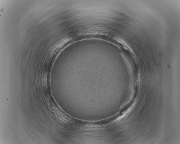 X0000086930777200704231329