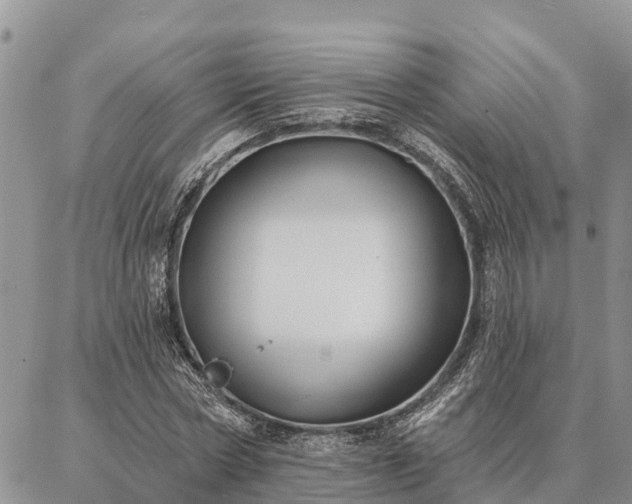 X0000086930778200704231329