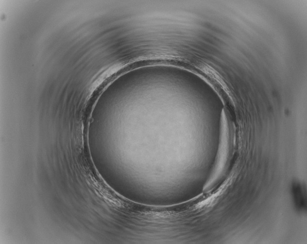 X0000086930781200704231329