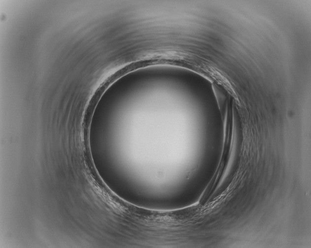 X0000086930784200704231329