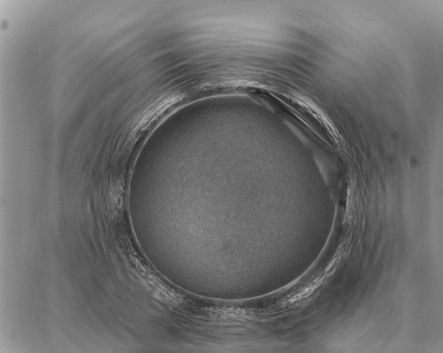 X0000086930785200704231329