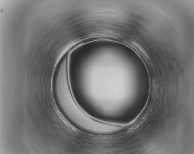 X0000086930788200704231329