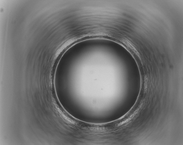 X0000086930789200704231329