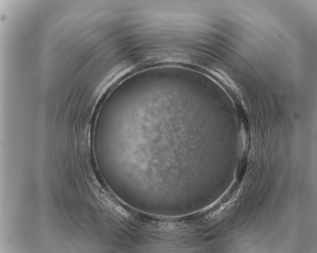 X0000086930790200704231329