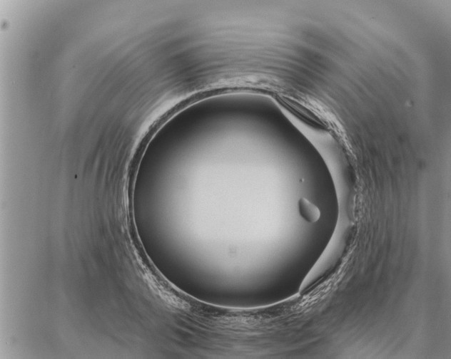 X0000086930792200704231329