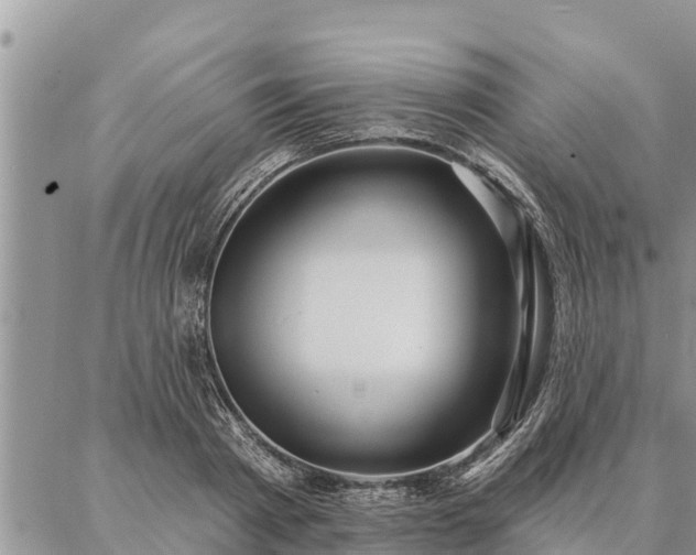 X0000086930793200704231329