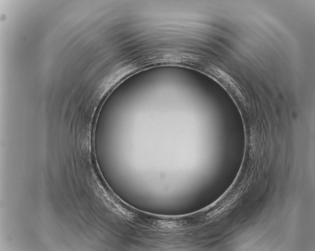 X0000086930794200704231329