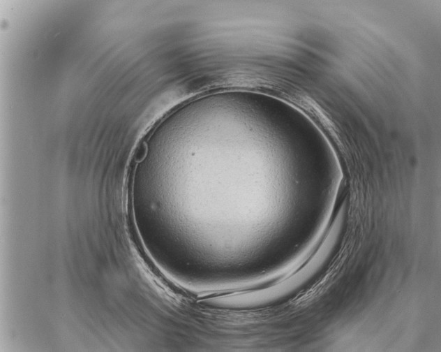 X0000086930795200704231329