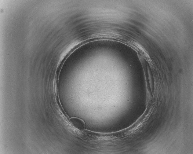 X0000086930796200704231329