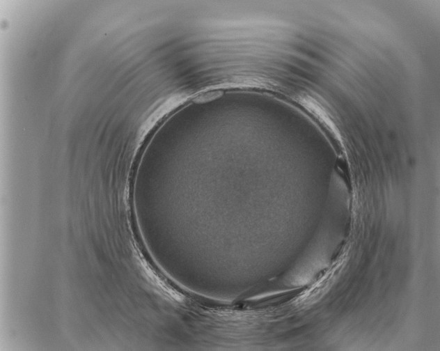 X0000086930797200704231329