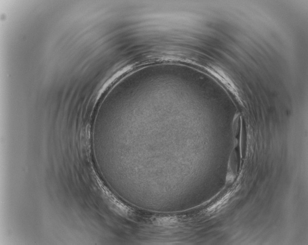 X0000086930798200704231329