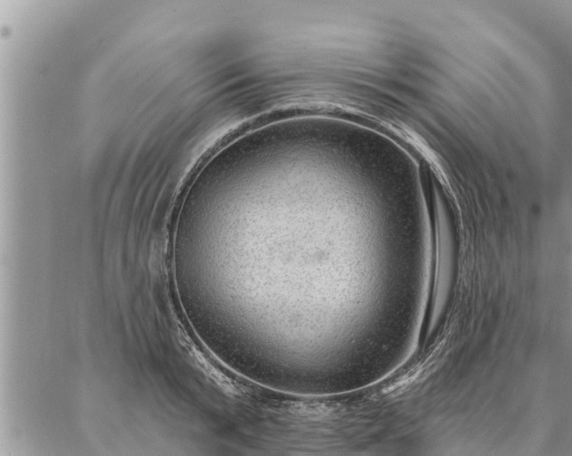 X0000086930799200704231329