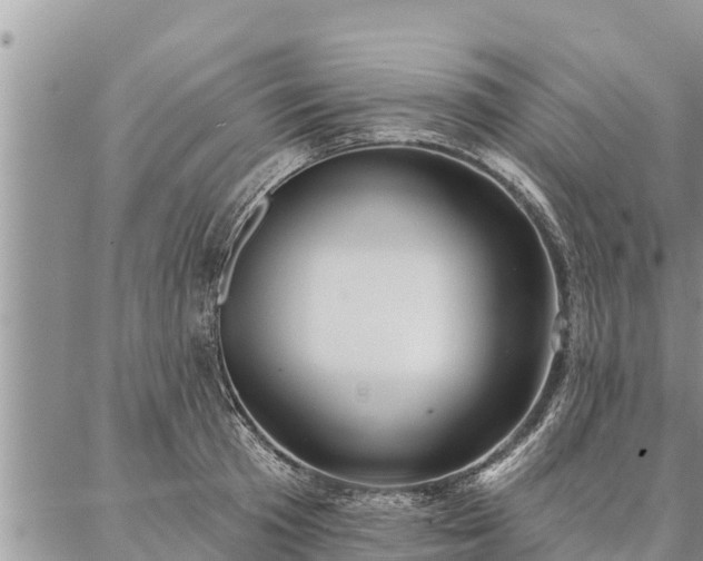 X0000086930801200704231329